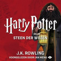 Harry_Potter_en_de_Steen_der_Wijzen
