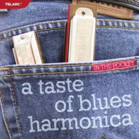 In_The_Pocket__A_Taste_Of_Blues_Harmonica
