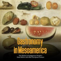 Gastronomy_in_Mesoamerica__The_History_of_Indigenous_People_s_Diets_Before_and_After_European_Contac