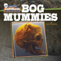 Bog_Mummies