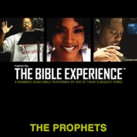 Inspired_By_____The_Bible_Experience_Audio_Bible_-_Today_s_New_International_Version__TNIV__The_Pro