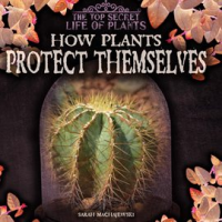 How_Plants_Protect_Themselves