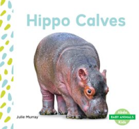 Hippo_Calves_Set_2