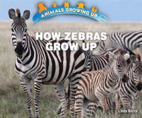 How_Zebras_Grow_Up