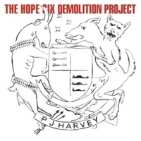 The_Hope_Six_Demolition_Project
