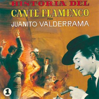 Historia_del_Cante_Flamenco__Vol__1