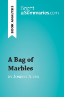 A_Bag_of_Marbles_by_Joseph_Joffo__Book_Analysis_