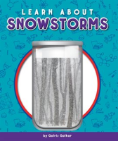 Learn_about_Snowstorms