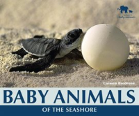 Baby_Animals_of_the_Seashore