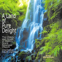 A_Land_Of_Pure_Delight