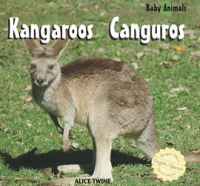 Kangaroos___Canguros