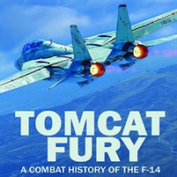 Tomcat_Fury