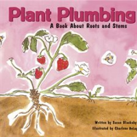 Plant_Plumbing