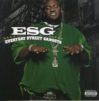 Everyday_Street_Gangsta