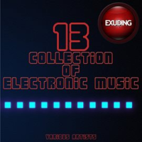 Collection_of_Electronic_Music__Vol__13