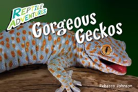 Gorgeous_Geckos