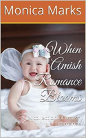 When_Amish_Romance_Blooms__A_Collection_of_Amish_Romance