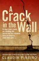 A_crack_in_the_wall