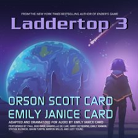 Laddertop_3