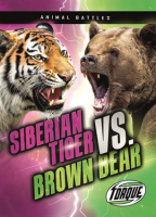 Siberian_Tiger_vs__Brown_Bear