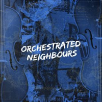 Orchestrated_Neighbours