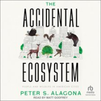 The_Accidental_Ecosystem
