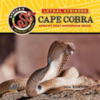 Cape_Cobra__Africa_s_Most_Dangerous_Snake
