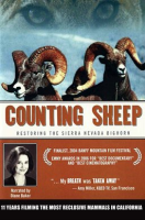 Counting_Sheep