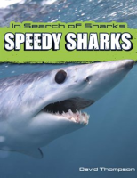 Speedy_Sharks