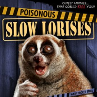 Poisonous_Slow_Lorises